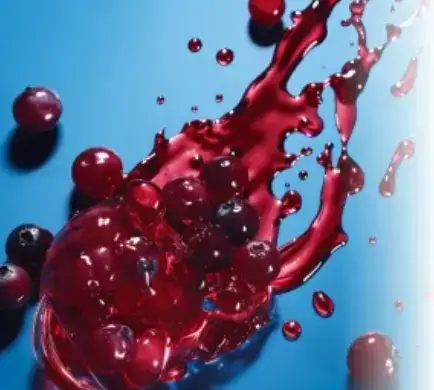 Cranberry Extract